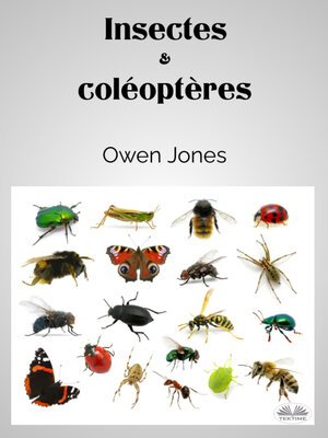 cover image of Insectes Et Coléoptères